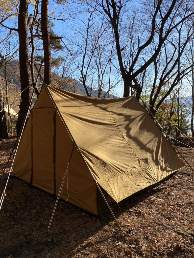 初張り横向きペポテント